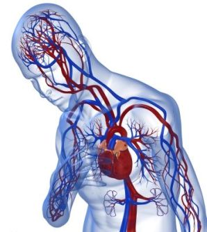 coronary-heart-disease-symptoms