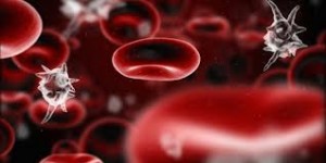 bloodborne-pathogen-training-image2