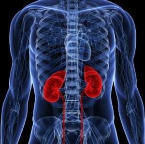 kidney-failure-e1371156824494